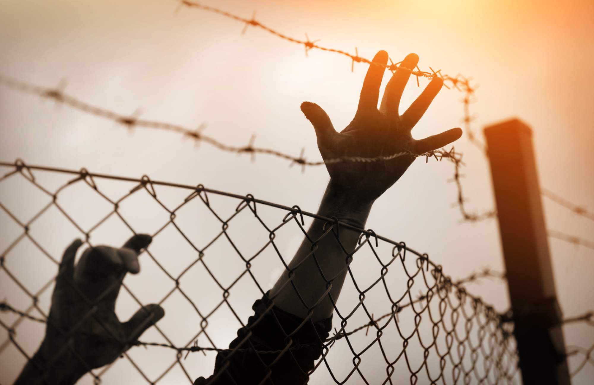 Hands, fence.